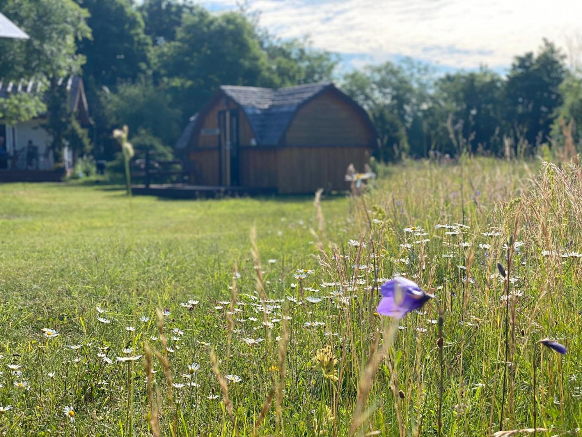 Koguva Kaespri Farmstay מראה חיצוני תמונה