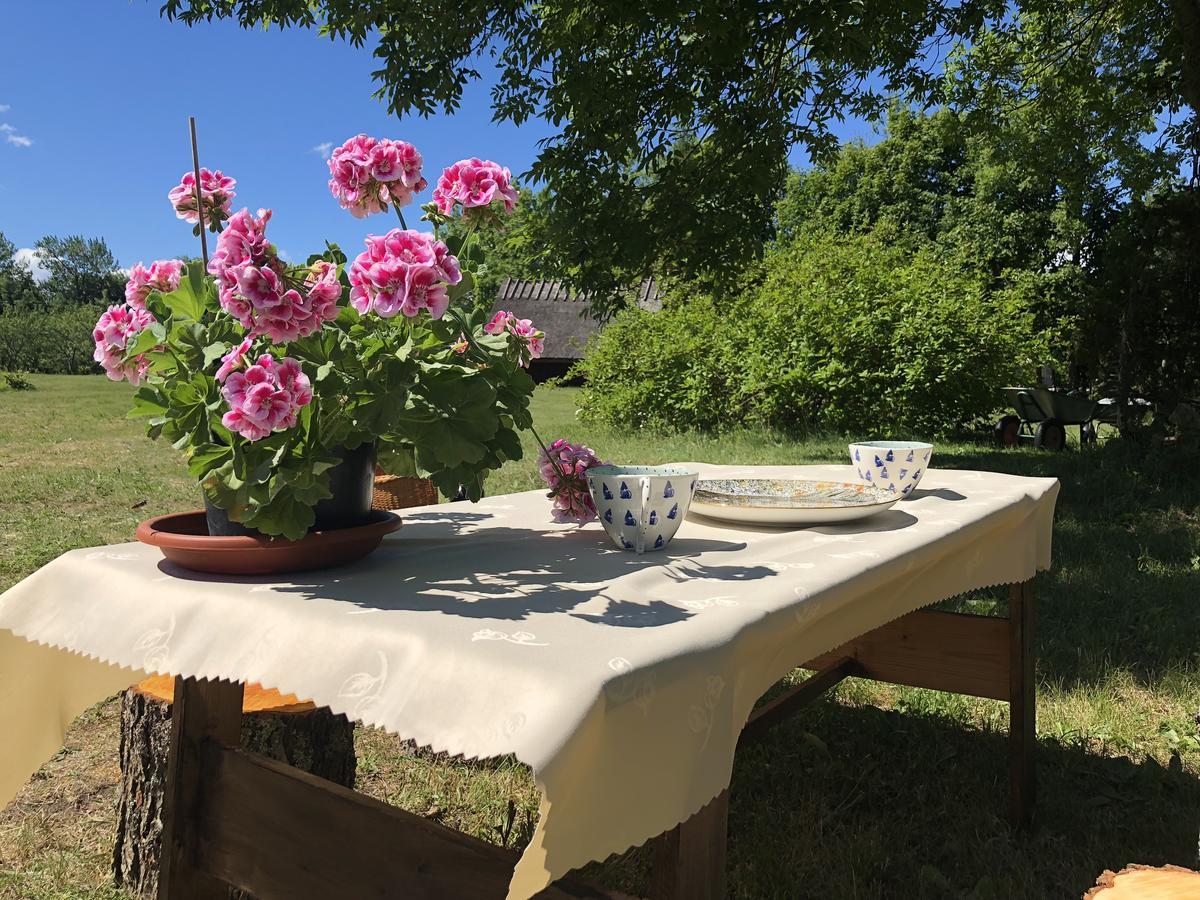 Koguva Kaespri Farmstay מראה חיצוני תמונה
